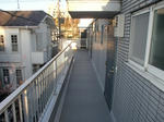 CIMG6030.JPG
