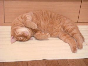 DSC01166.JPG