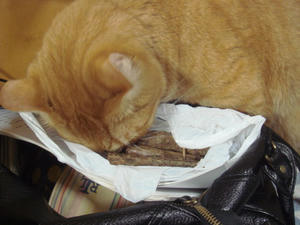 DSC01783.JPG
