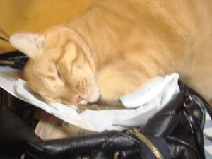 DSC01786.JPG