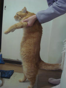 DSC01902.JPG