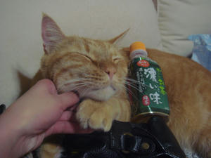 DSC01949.JPG