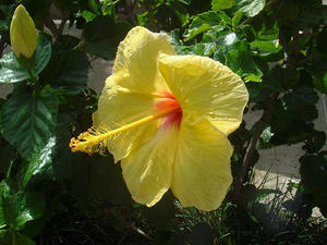 DSC02039.jpg