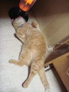 DSC02544.JPG