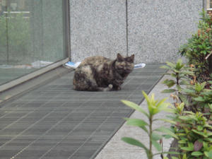 DSC02620.JPG