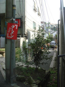 DSC03101.JPG
