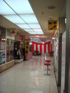 DSC03137.JPG
