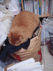 DSC03162.JPG