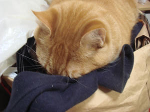 DSC03164.JPG