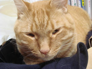 DSC03163.JPG