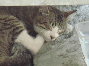 DSC03235.JPG