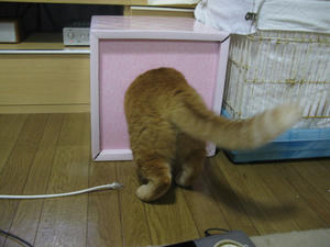 IMG_0541.jpg