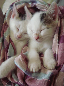 DSC03506.JPG