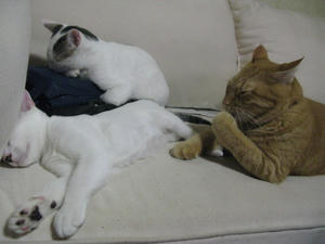 IMG_1120.JPG