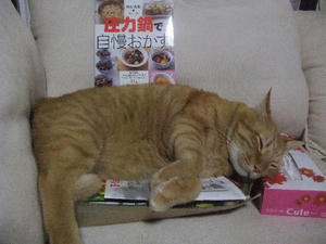2008_1029200808120025.JPG