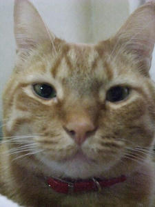 DSCF1950.JPG