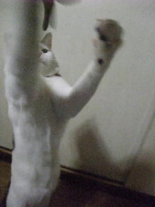 2009_0220200902080013.JPG