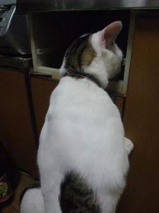 DSCF2468.JPG