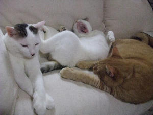 DSCF2490.JPG