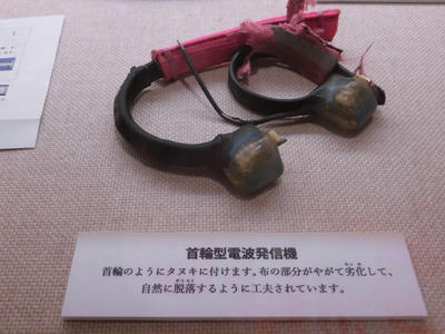 首輪型電波発信機