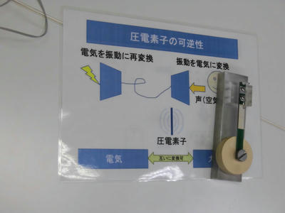圧電素子の可逆性