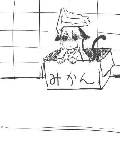 100602_neko.jpg