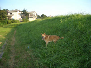 070800904