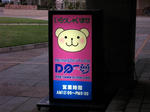 kuma