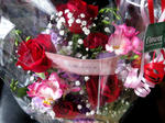 flower3