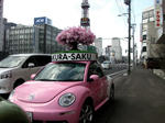 sakurasaku1