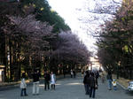jingu