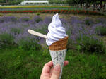 furano16