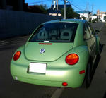 beetle