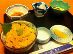 shinsei1