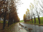moere1