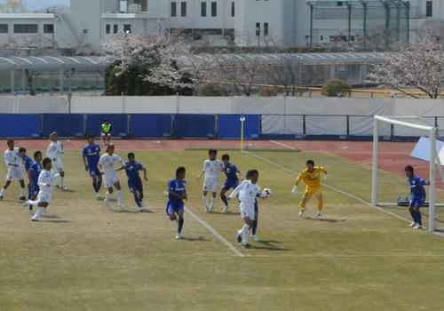 DSC_8638.JPG