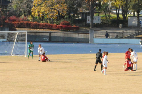 DSC_2516-1.JPG