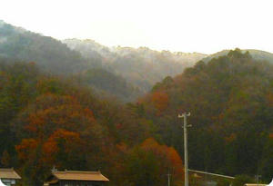 温井の北側の山