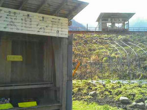 元、JR土居駅のそば