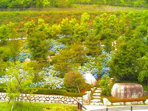 温井ダム堰堤への入り口付近