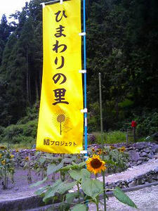 結プロジェクトの旗