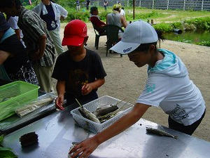 しごう　してるウチの子