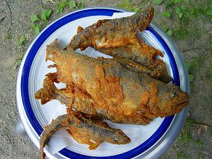 やまめのから揚げ