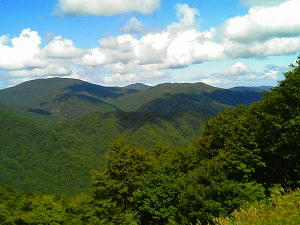 展望台から眺めてみた