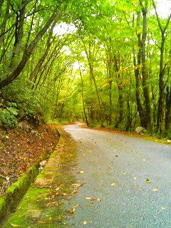 こっちもスキ♪