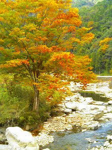 太田川を上流へ