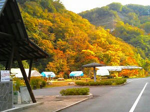 雉野原キャンプ場