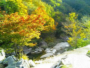 陽がさすとキラキラときれい♪