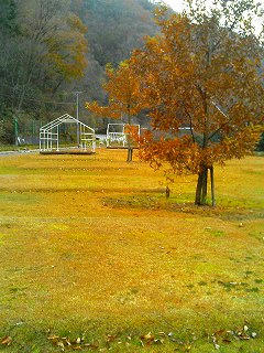 キャンプ場も冬支度