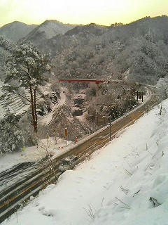 186号線…猪山分れ